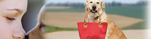 pet friendly restaurants in Pigeon forge, TN; dog friendly restaurants in Gatlinburg, dogs allowed Pigeon Forge restaurants near Dollywood, advertise restaurant in pigeon forge, pigeon forge restaurant with outdoor seating