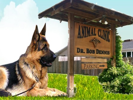 vets in Pigeon Forge, tn, gatlinburg veterinarians, vets