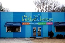 Barker Lounge, dog boarding in pigeon forge, dog friendly pet care and kennels gatlinburg, dog boarding and grooming pigeon forge