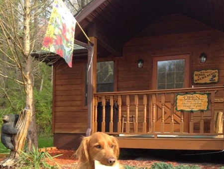 Barks and Recreation, dog boarding in pigeon forge, dog friendly pet care and kennels gatlinburg, dog boarding and grooming pigeon forge