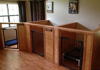 Barks and Recreation, dog boarding in pigeon forge, dog friendly pet care and kennels gatlinburg, dog boarding and grooming pigeon forge