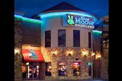 Blue Moose Burgers & Wings, pet friendly restaurants in Pigeon forge, TN; dog friendly restaurants in Gatlinburg, dogs allowed Pigeon Forge restaurants near Dollywood, pigeon forge restaurant with outdoor seating