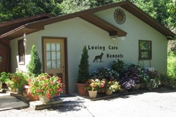 Loving Care Kennels, dog boarding in pigeon forge, dog friendly pet care and kennels gatlinburg, dog boarding and grooming pigeon forge