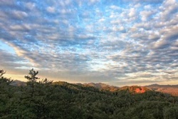 mountain vacation rental with great views in tennessee, Pigeon Forge pet friendly vacation rentals, dog friendly rentals in Pigeon Forge, Tennessee, dogs allowed short term rentals in tennessee mountains