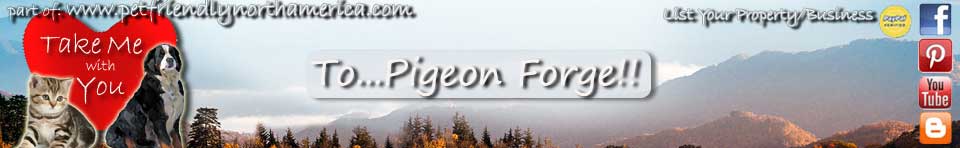 pet friendly pigeon forge